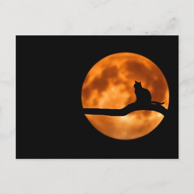 Werecat full moon postcard (Front)