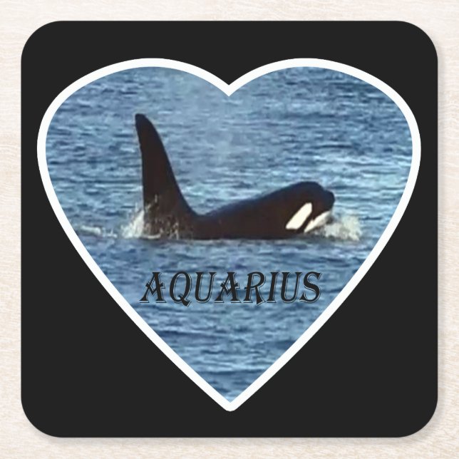 West Coast Killer Whale "Aquarius" Orca Coaster (Front)