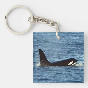West Coast Killer Whale "Aquarius" Orca Keychain