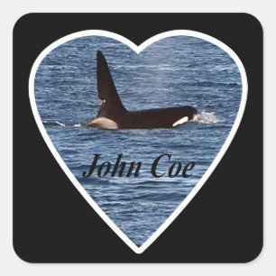 West Coast Killer Whale "John Coe" Orca Square Sticker