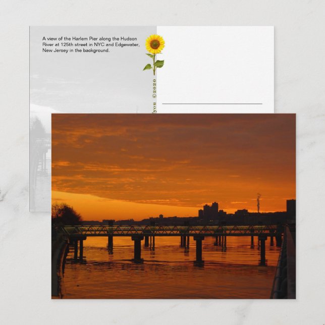 West Harlem Piers, NYC - H postcard (Front/Back)