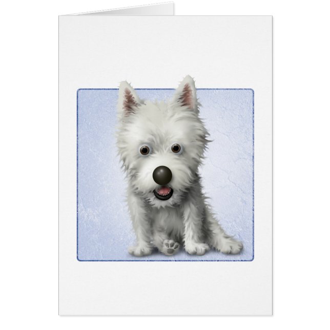 West Highland Terrier (Front)