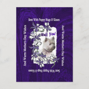 West Highland Terrier Adorable Mothers Day Wishes Postcard