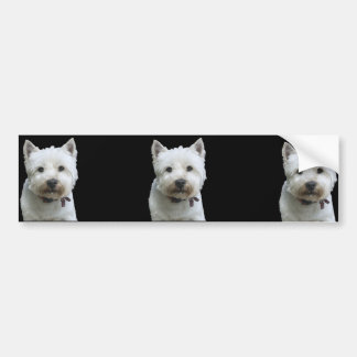West Highland Terrier Bumper Sticker