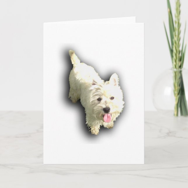 West Highland Terrier Card (Front)