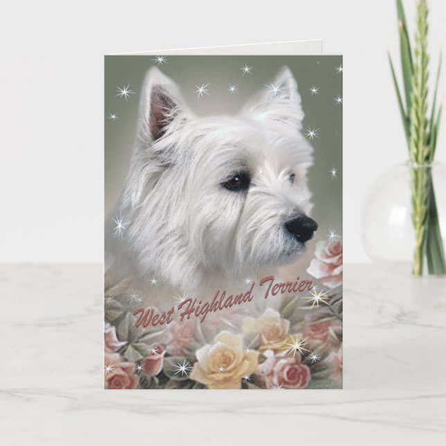 West Highland terrier parmi les cartes roses (Devant)