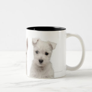 West Highland Terrier puppies (7 weeks old) Two-Tone Coffee Mug