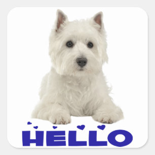West Highland Terrier White Puppy Dog Hello Hearts Square Sticker