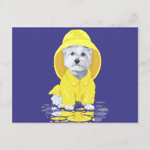 West Highland White Terrier April Showers Postcard