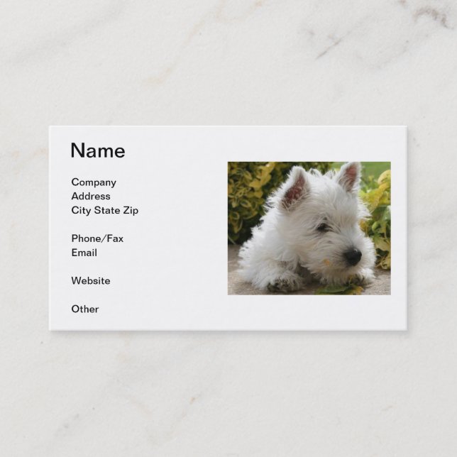 West Highland White Terrier Business Card (Front)