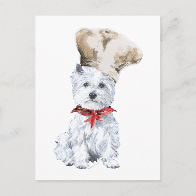 West Highland White Terrier Chef Postcard (Front)