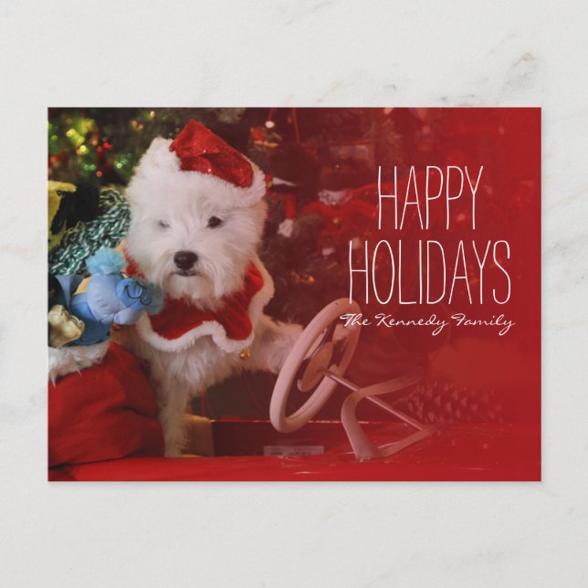 West Highland White Terrier dog as Santa Claus Holiday Postcard (Front)