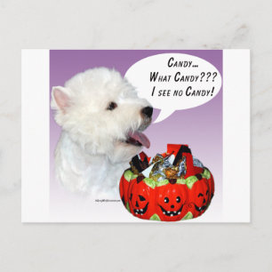 West Highland White Terrier Halloween Candy Postcard