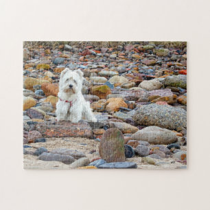 West Highland White Terrier Puzzle