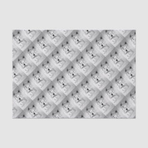 West Highland White Terrier Tissue Paper