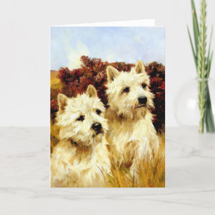 West highland White Terriers - Wardle Card