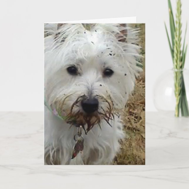 WEST HIGHTLAND TERRIER LOVE CARD (Front)