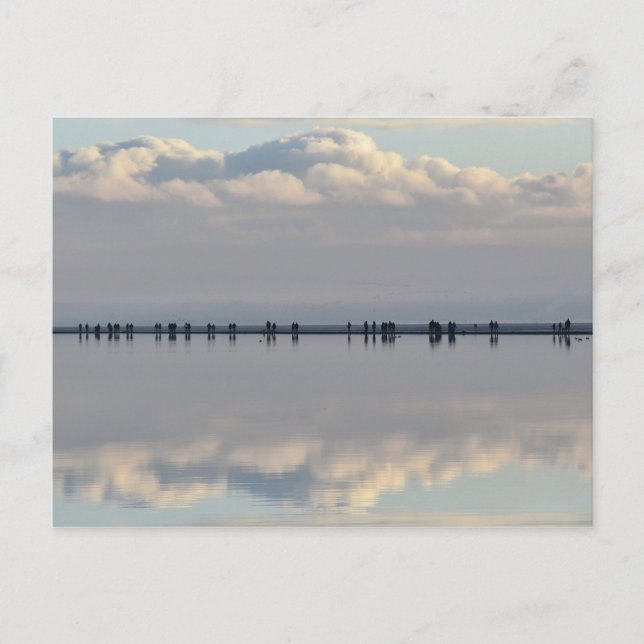 West Kirby Marina Postcard (Front)