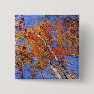 West Mt. Autumn Hot Springs National Park Gifts 2 Inch Square Button