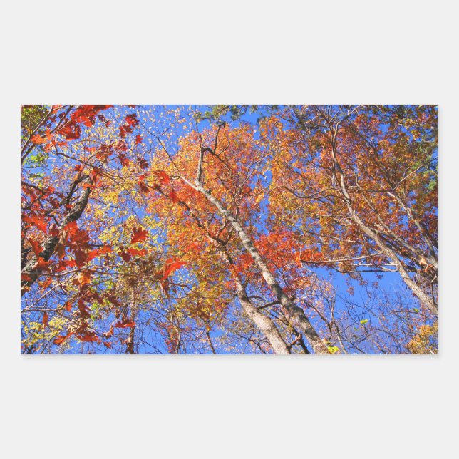 West Mt. Autumn Hot Springs National Park Gifts Sticker (Front)
