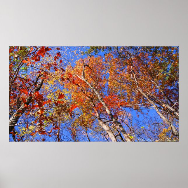 West Mt. Autumn Hot Springs National Park Poster (Front)