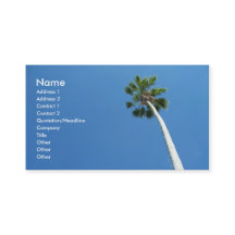 West Palm Beach Florida Palm Tree Business Card