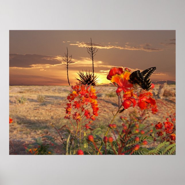 West Texas Sunset Poster (Front)