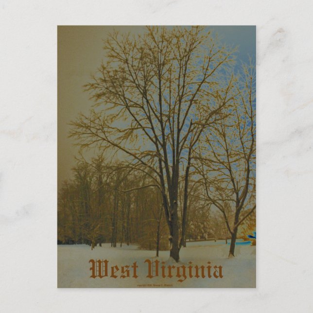 West Virginia in Snow Postcard (Front)