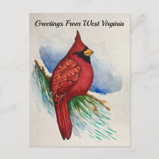 West Virginia State Bird Cardinal Watercolor Postcard (Front)