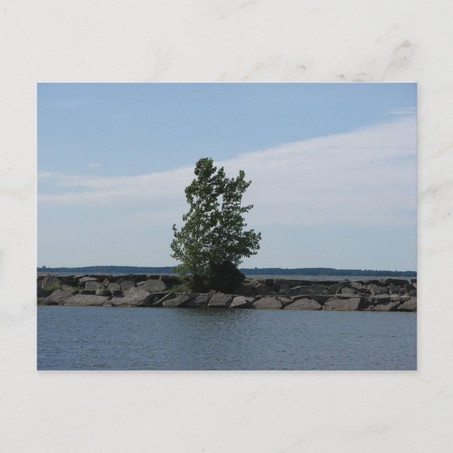 Westcott Bay Postcard (Front)