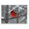 WestCreek Red Cardinal (Blank)