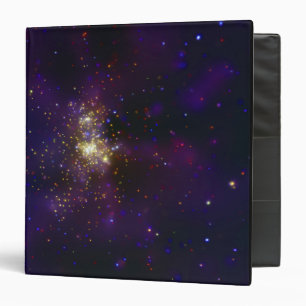 Westerlund 2, a young star cluster binder