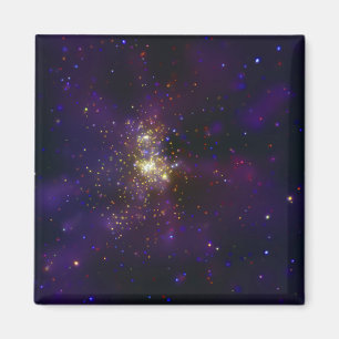 Westerlund 2, a young star cluster magnet