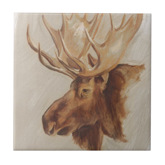 Western American Animal Study | Moose Portrait Tile (Front)
