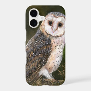 Western Barn Owl
