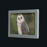 Western Barn Owl Belt Buckle<br><div class="desc">Western Barn Owl Belt Buckles - MIGNED Painting</div>