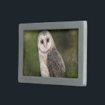 Western Barn Owl Belt Buckle<br><div class="desc">Western Barn Owl Belt Buckles - MIGNED Painting</div>