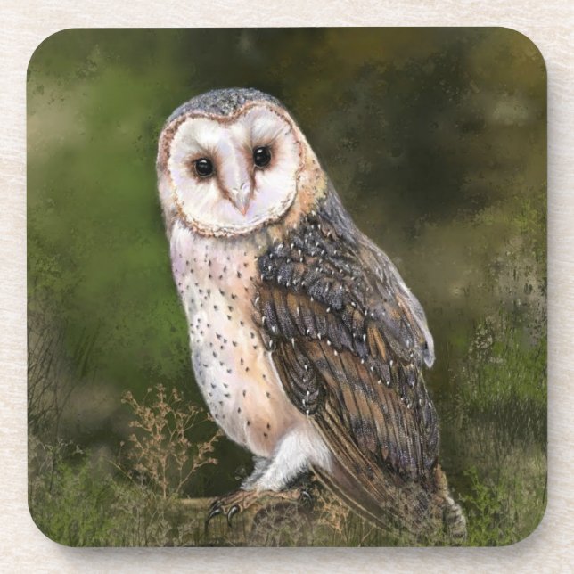 Western Barn Owl Beverage Coaster - Painting (Front)