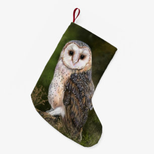 Western Barn Owl Christmas Stocking