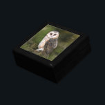 Western Barn Owl Gift Box<br><div class="desc">Western Barn Owl - Migned Watercolor Painting Art Beautiful Forest Bird</div>