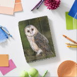 Western Barn Owl iPad Air Cover<br><div class="desc">Western Barn Owl - Migned Watercolor Painting Art Beautiful Forest Bird</div>