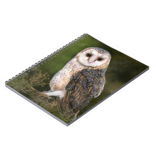 Western Barn Owl - Migned Watercolor Painting Art Notebook