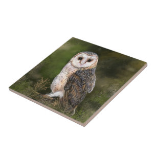 Western Barn Owl - Migned Watercolor Painting Art  Tile