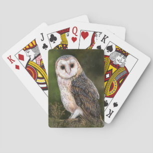 Western Barn Owl Playing Cards