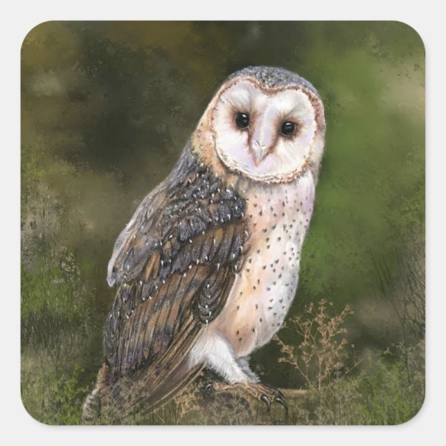 Western Barn Owl Stickers - Painting (Front)