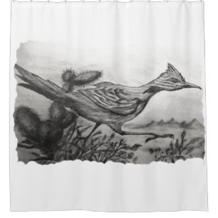 Western black and white desert roadrunner shower 