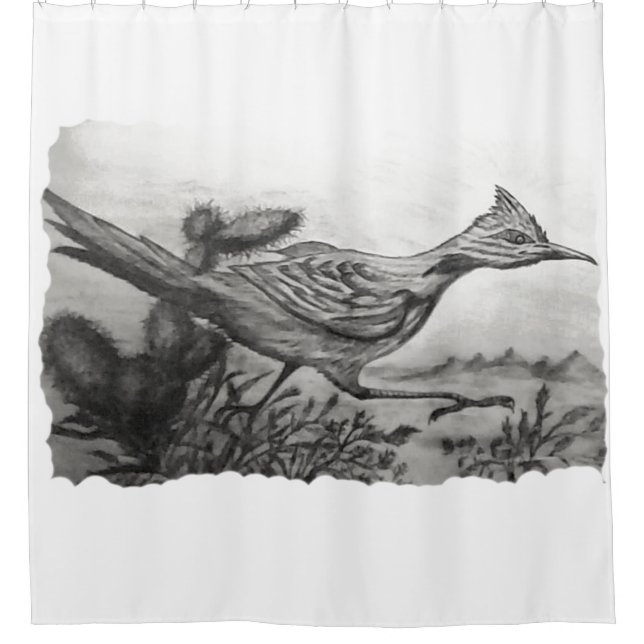 Western black and white desert roadrunner shower  (Front)