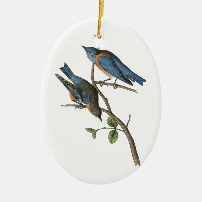 Western Bluebird by Audubon Ceramic Ornament (Front)
