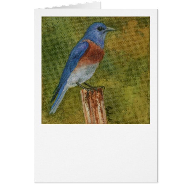Western Bluebird Card (Front)