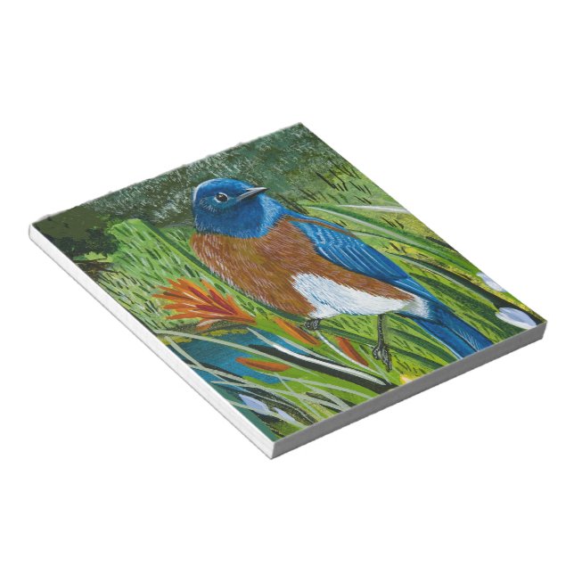 Western Bluebird Notepad (Angled)